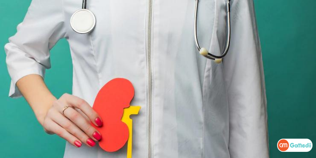 Kidney Transplantation Procedure And Cost In India Nephrology